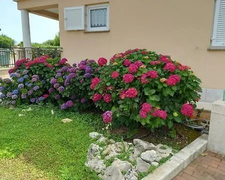 Apartment Anita & Mario Porec